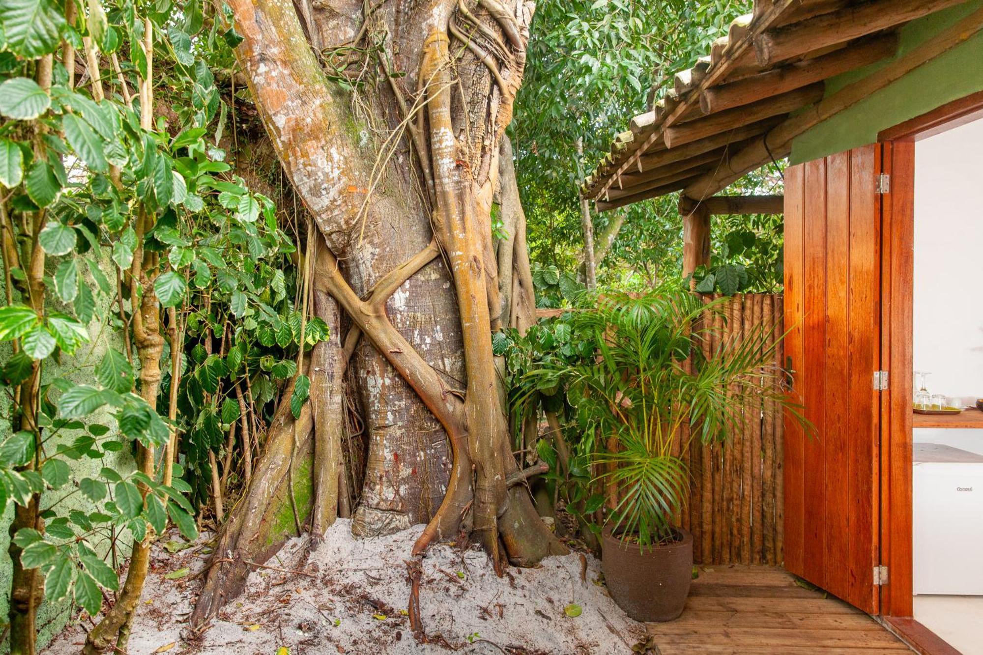 Pousada Mangue Sereno Caraíva المظهر الخارجي الصورة