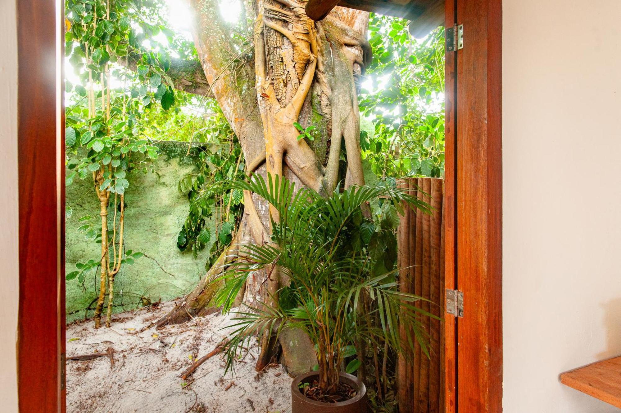 Pousada Mangue Sereno Caraíva المظهر الخارجي الصورة